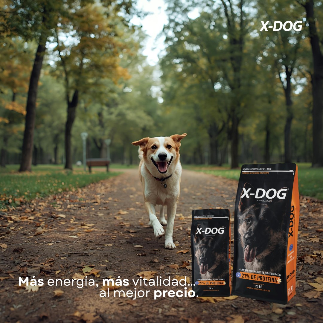La evolución del mercado de mascotas en México: nuestra historia y lo que viene.
