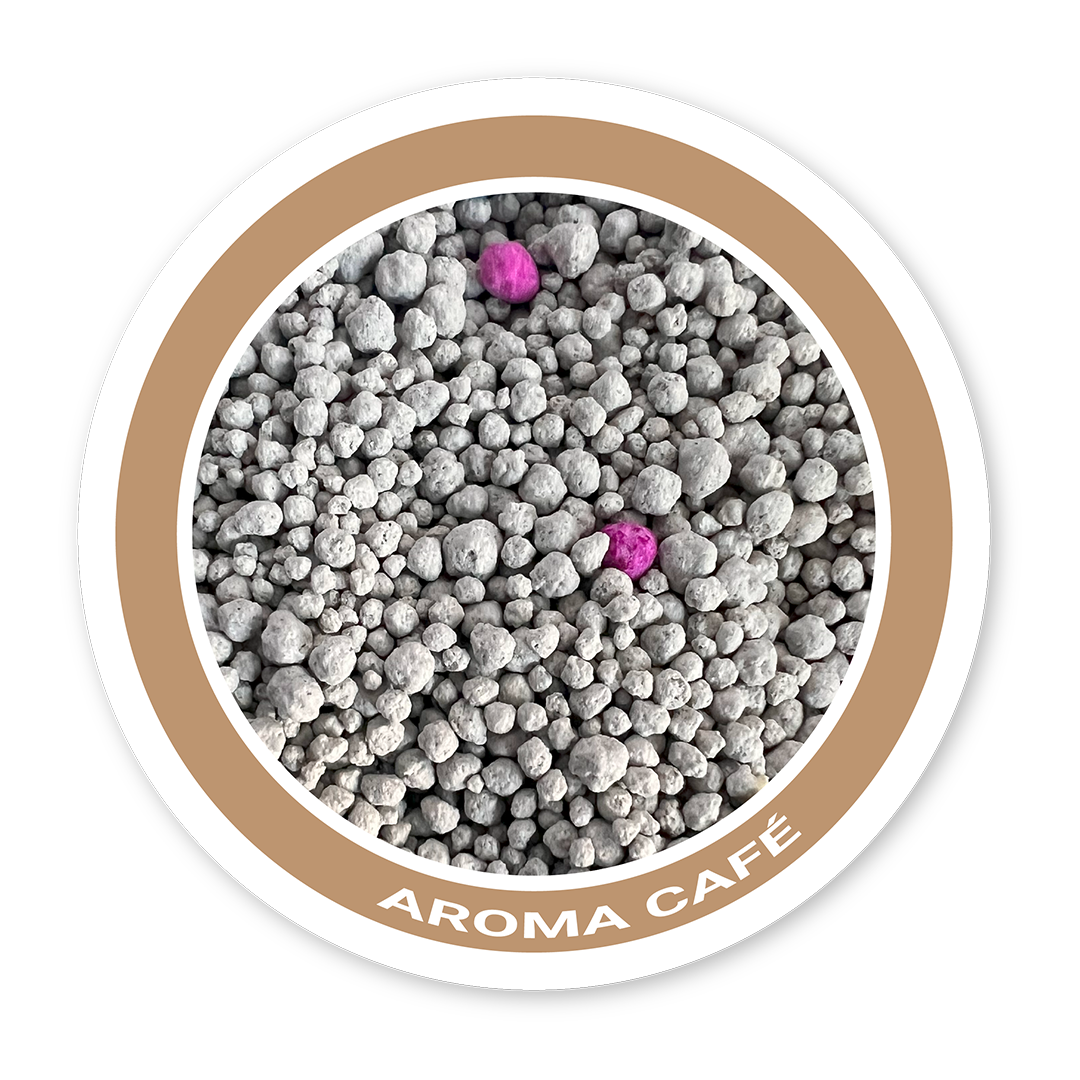 Arena Bio Stones - Café