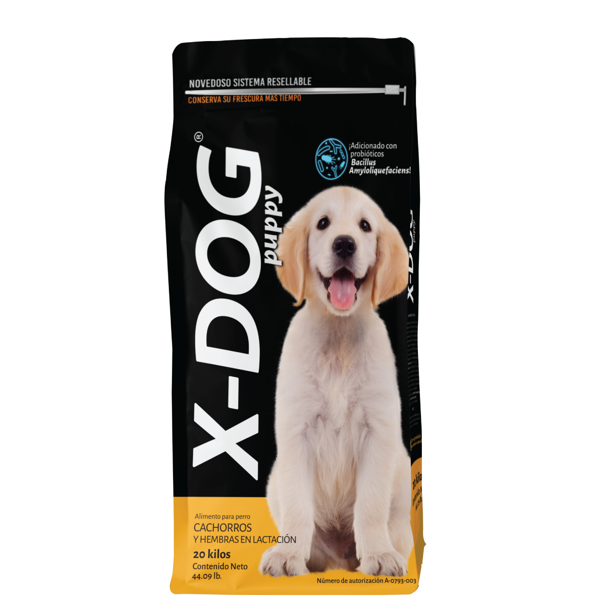 X-DOG Puppy
