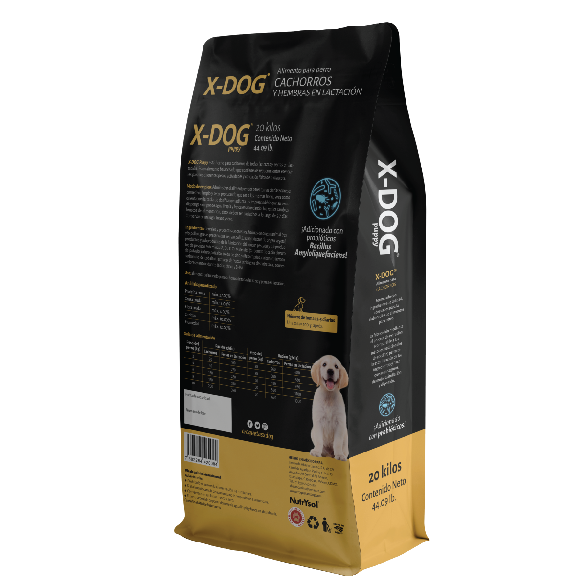 X-DOG Puppy