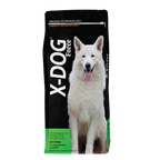 X-DOG Force