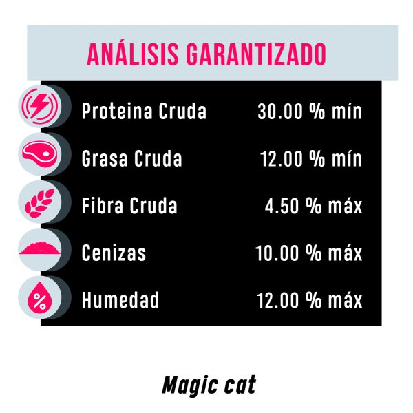 croquetas magic cat