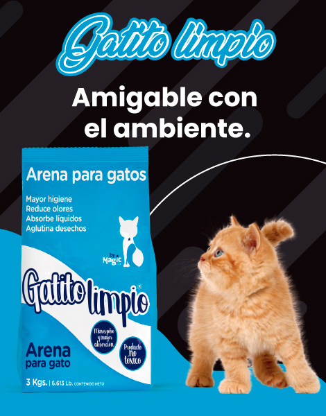 arena gatito limpio azul