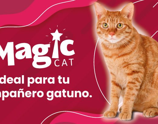 MAGIC CAT